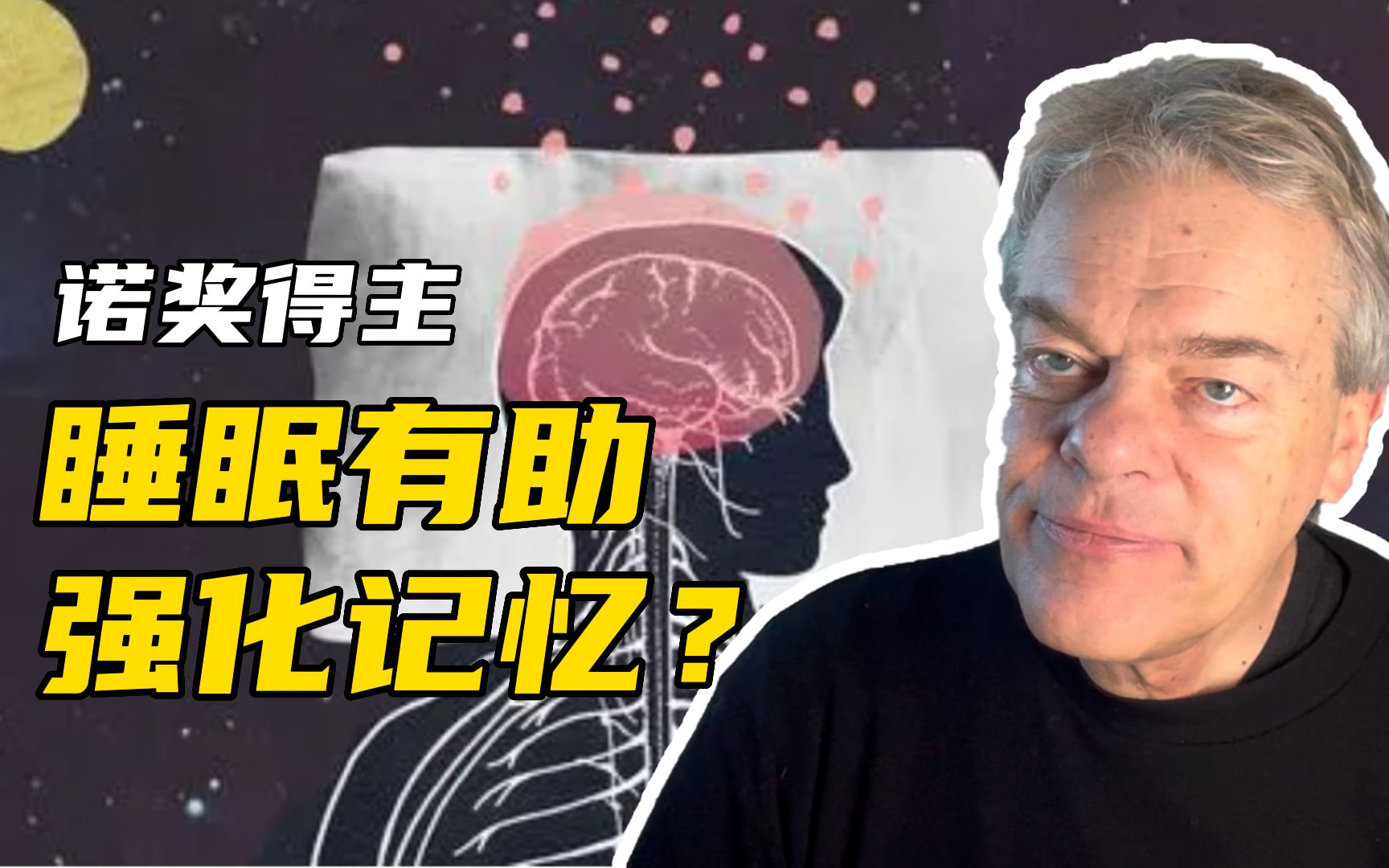 当你睡着时,大脑在干什么?【爱德华莫泽】哔哩哔哩bilibili