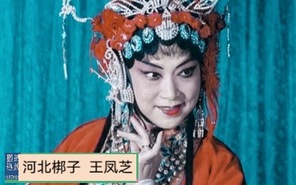 河北梆子《呼延庆打擂》 王凤芝演唱哔哩哔哩bilibili