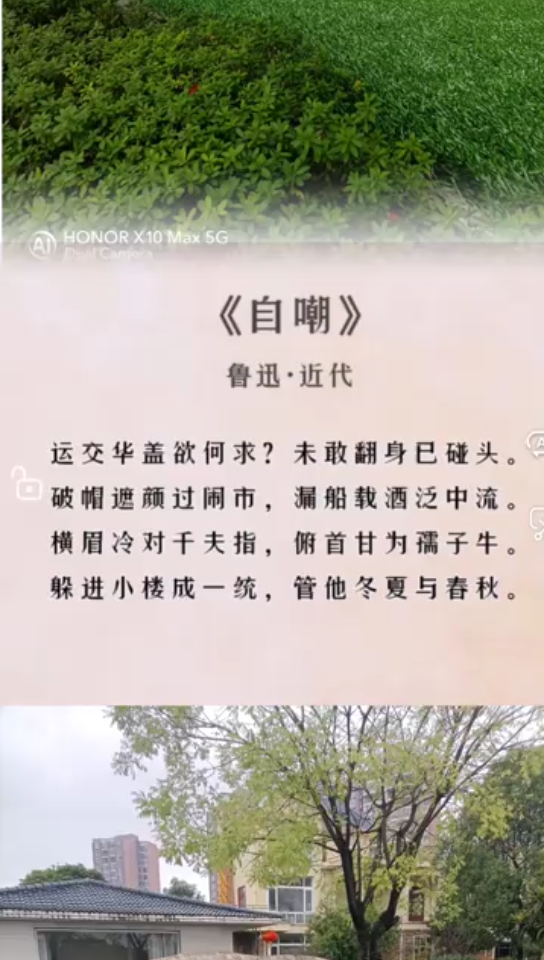 鲁迅《自嘲》(朗读)哔哩哔哩bilibili