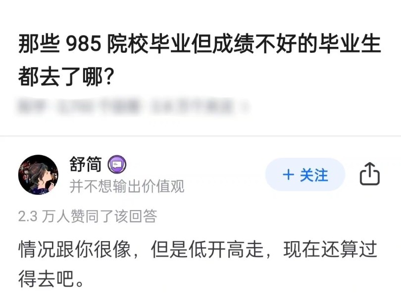 那些985院校毕业但成绩不好的毕业生都去了哪?哔哩哔哩bilibili