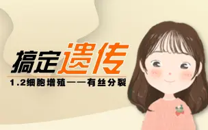 下载视频: 【搞定遗传】有丝分裂