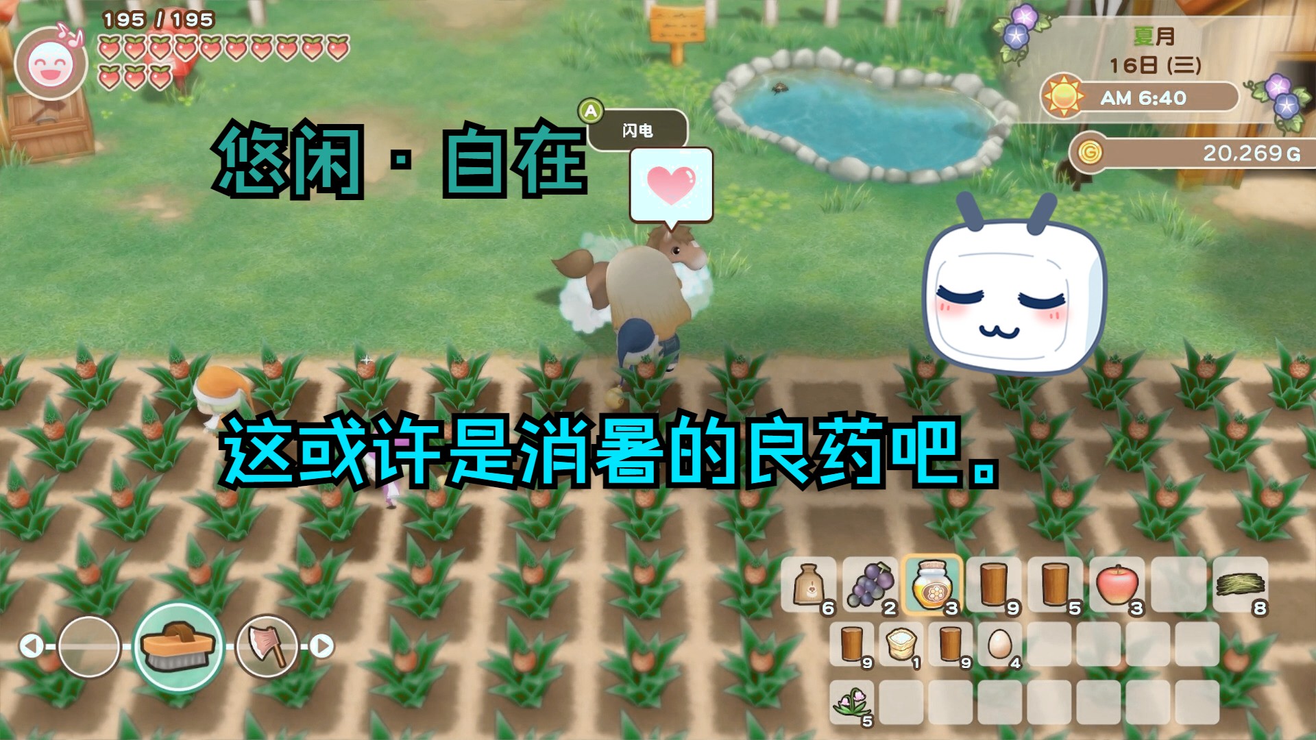 牧场物语重聚矿石镇(夏十六)