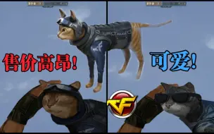 Download Video: CF首个以动物为外形的武器！C.A.T 猫！猫咪也能称霸火线！