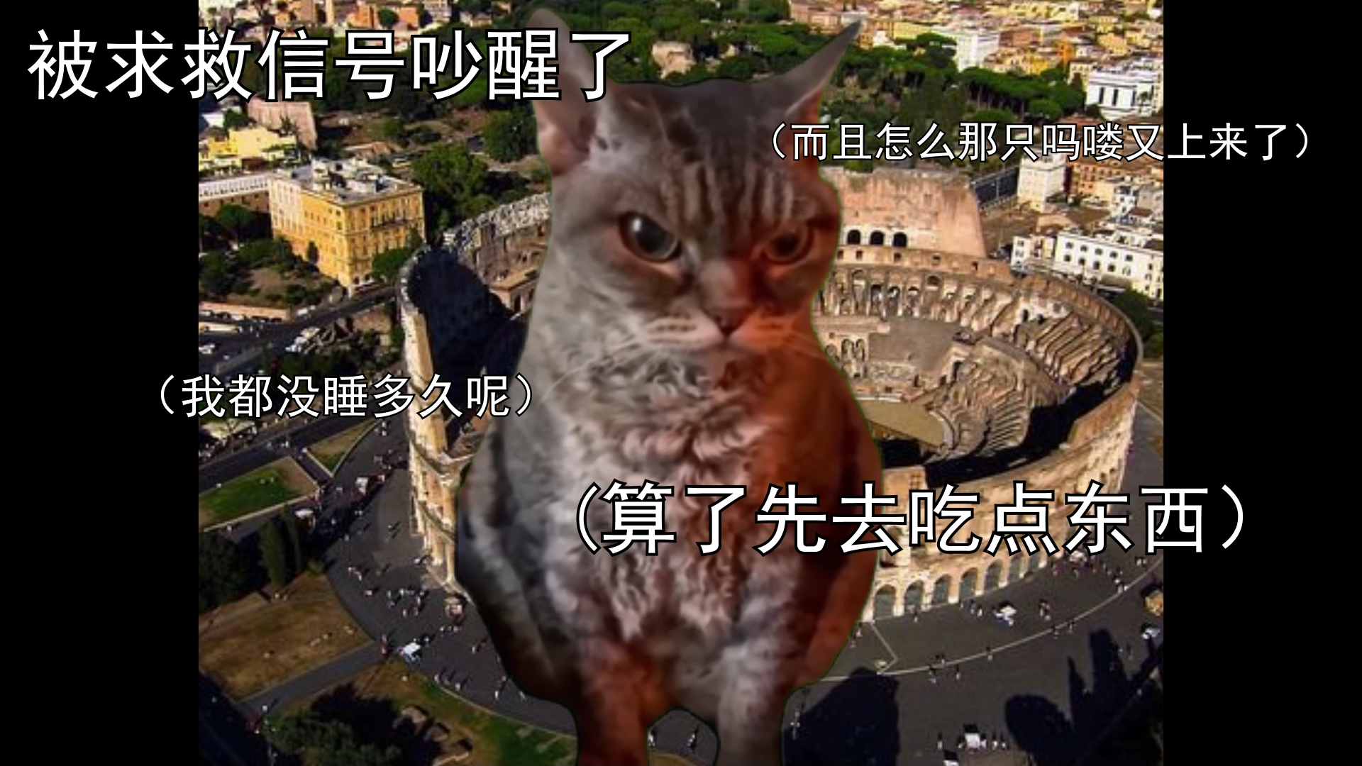 [图]哥斯拉大战金刚2，但是猫meme