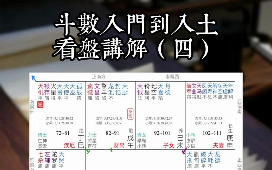 紫微斗数从入门到入土看盘解析之子午卯酉宫位解答哔哩哔哩bilibili