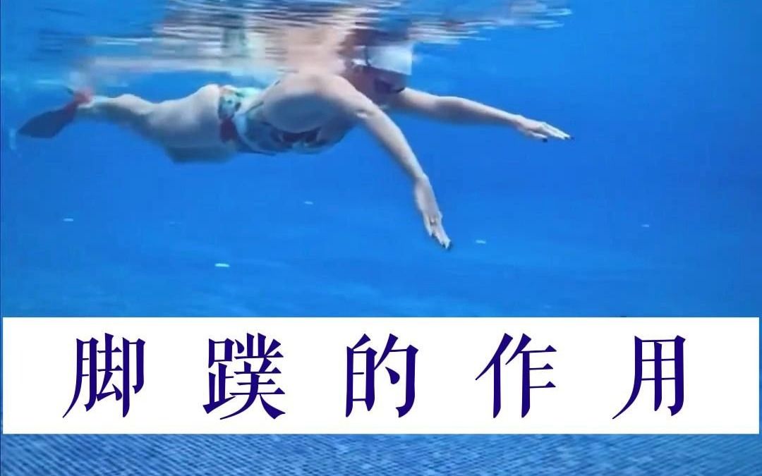 游泳脚蹼的作用哔哩哔哩bilibili