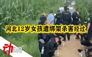 Download Video: 河北12岁女孩遭绑架杀害：凌晨在家失踪 嫌犯拿百万赎金后落网