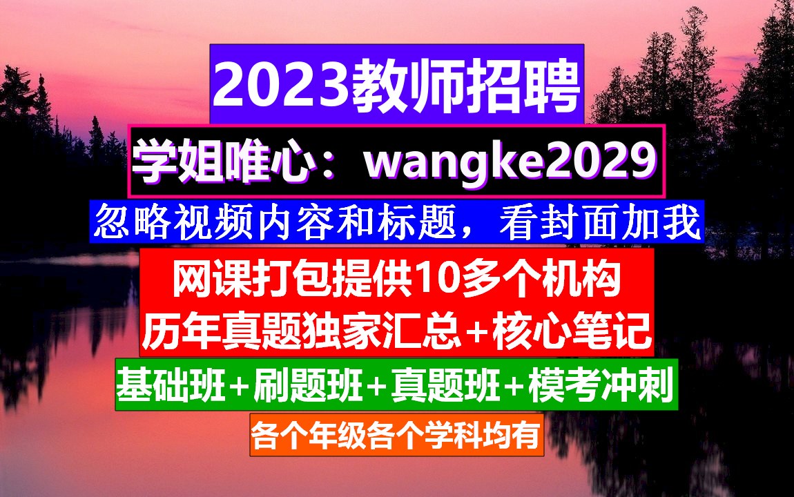 山东省教师招聘心理健康教育,公招教师考试时间报名,教师入编考试哔哩哔哩bilibili