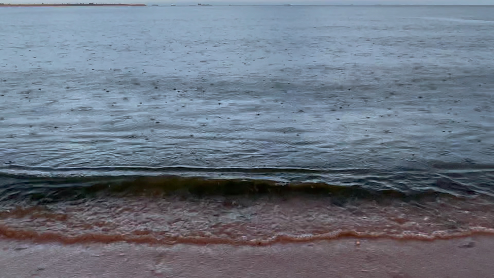 下雨的海面,充满绿色海藻的海水,还有砖色的沙滩