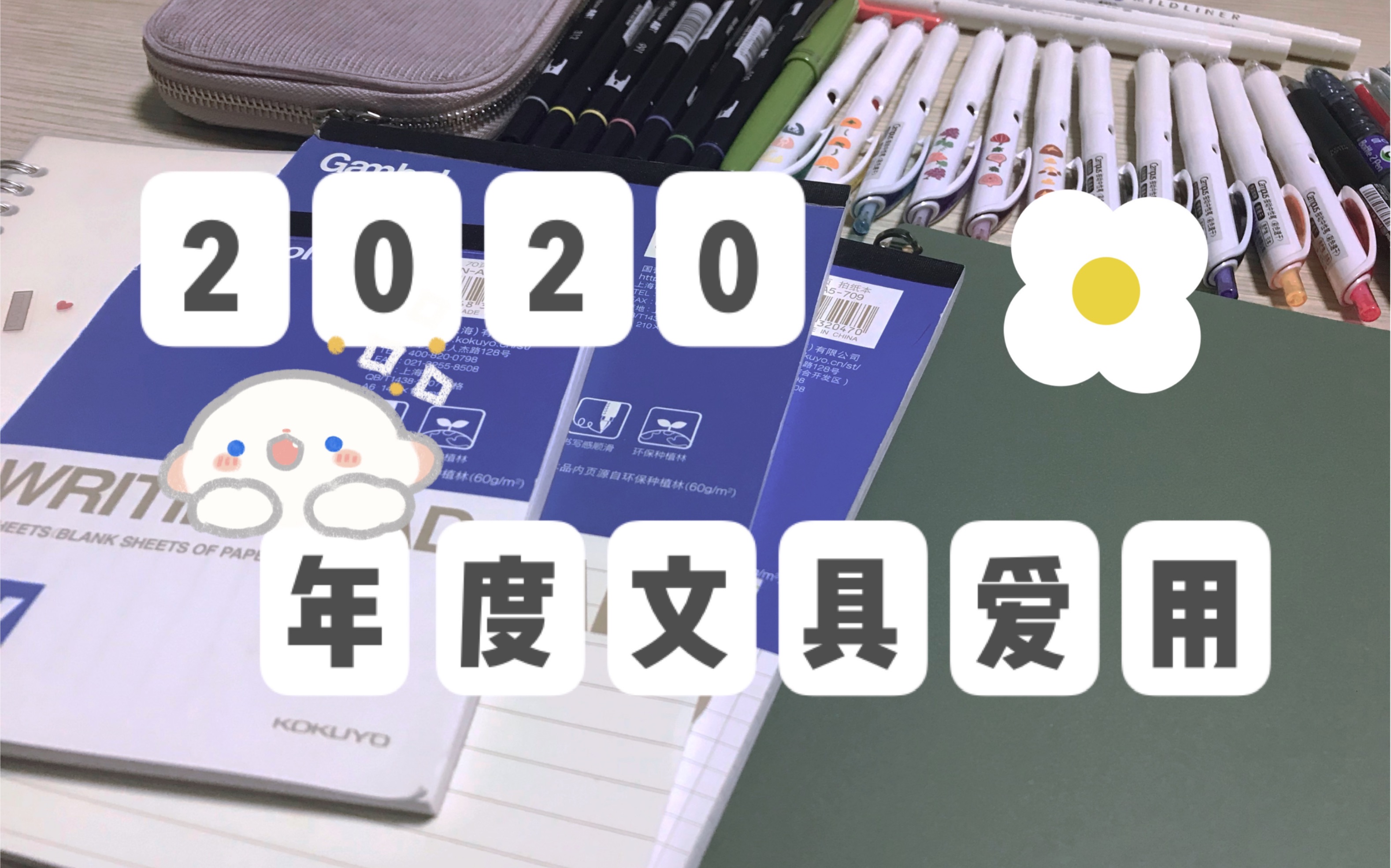 【Pili】2020年度文具爱用正片来袭|来了来了我来了|简直可以被称为年度国誉系列哔哩哔哩bilibili