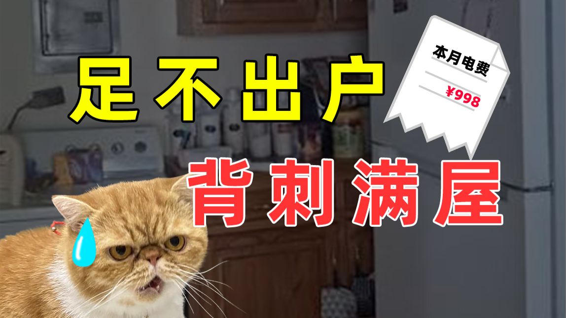 【半佛】足不出户，背刺满屋