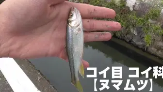 雰囲気の良い用水路でタナゴ釣りをしてみた 小物釣り 哔哩哔哩 Bilibili