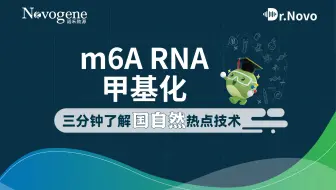 m6A RNA甲基化