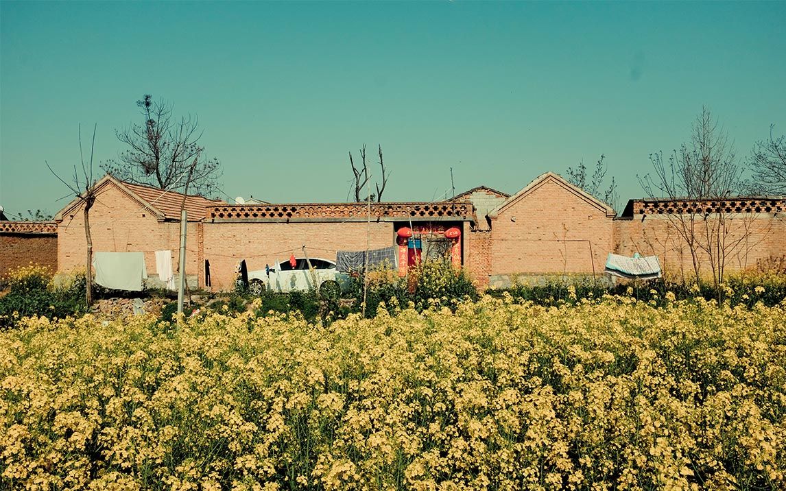 【第一人称扫街】我拍了豫东的农村,家家都是大门紧闭 下_哔哩哔哩