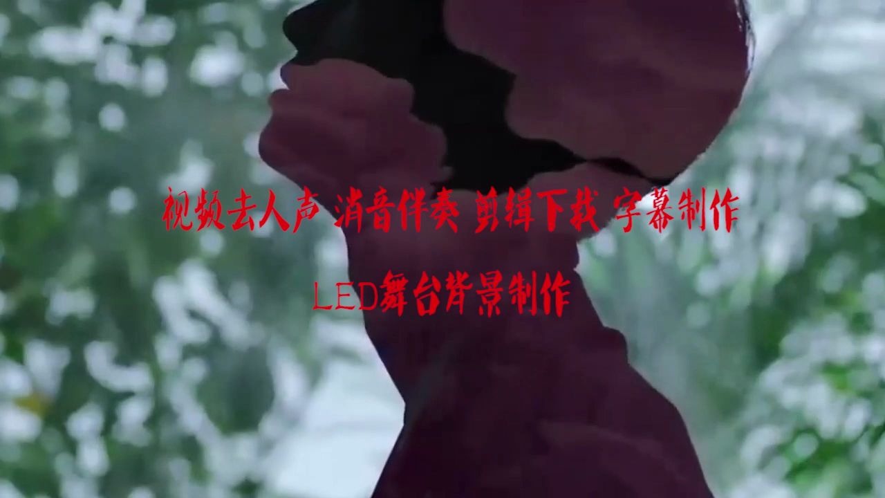 我爱你中国中央广播电视台总台央广合唱团 伴奏 BGM背景音乐剪辑 截音乐 消音伴奏 视频剪辑去人声 转场效果 MV字幕制作 表演节目舞台LED背景 剪辑哔...