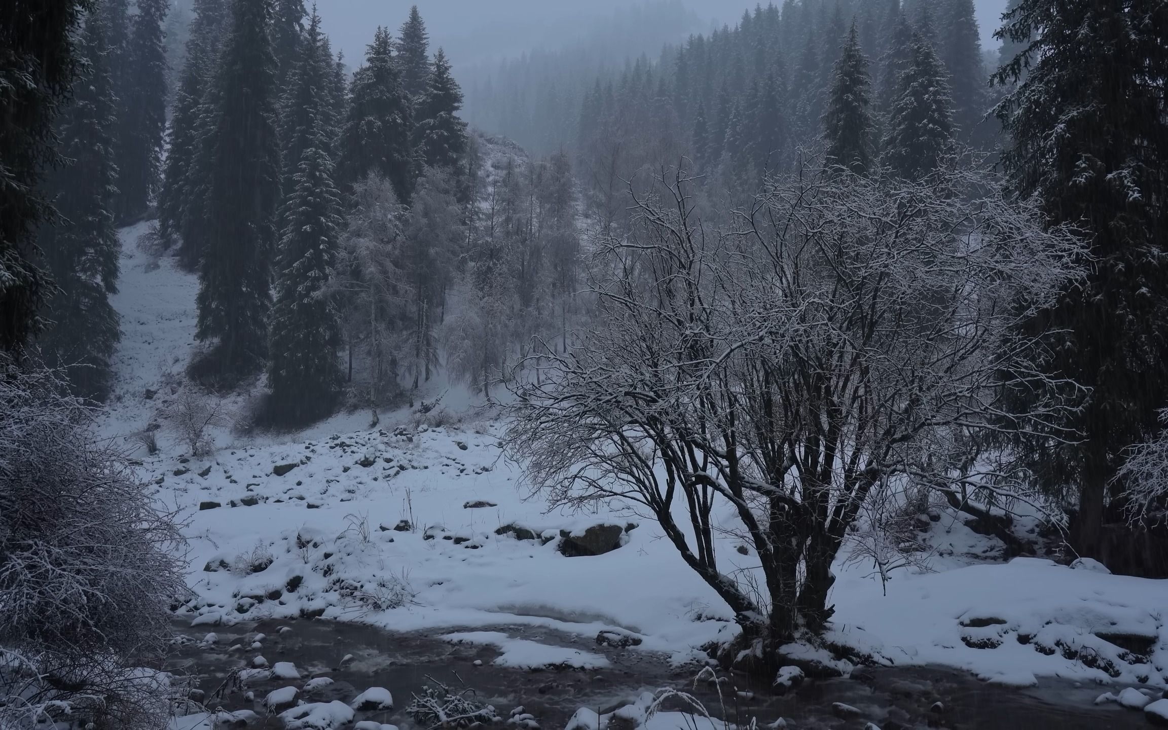 大雪寒冬在野外烹饪美食