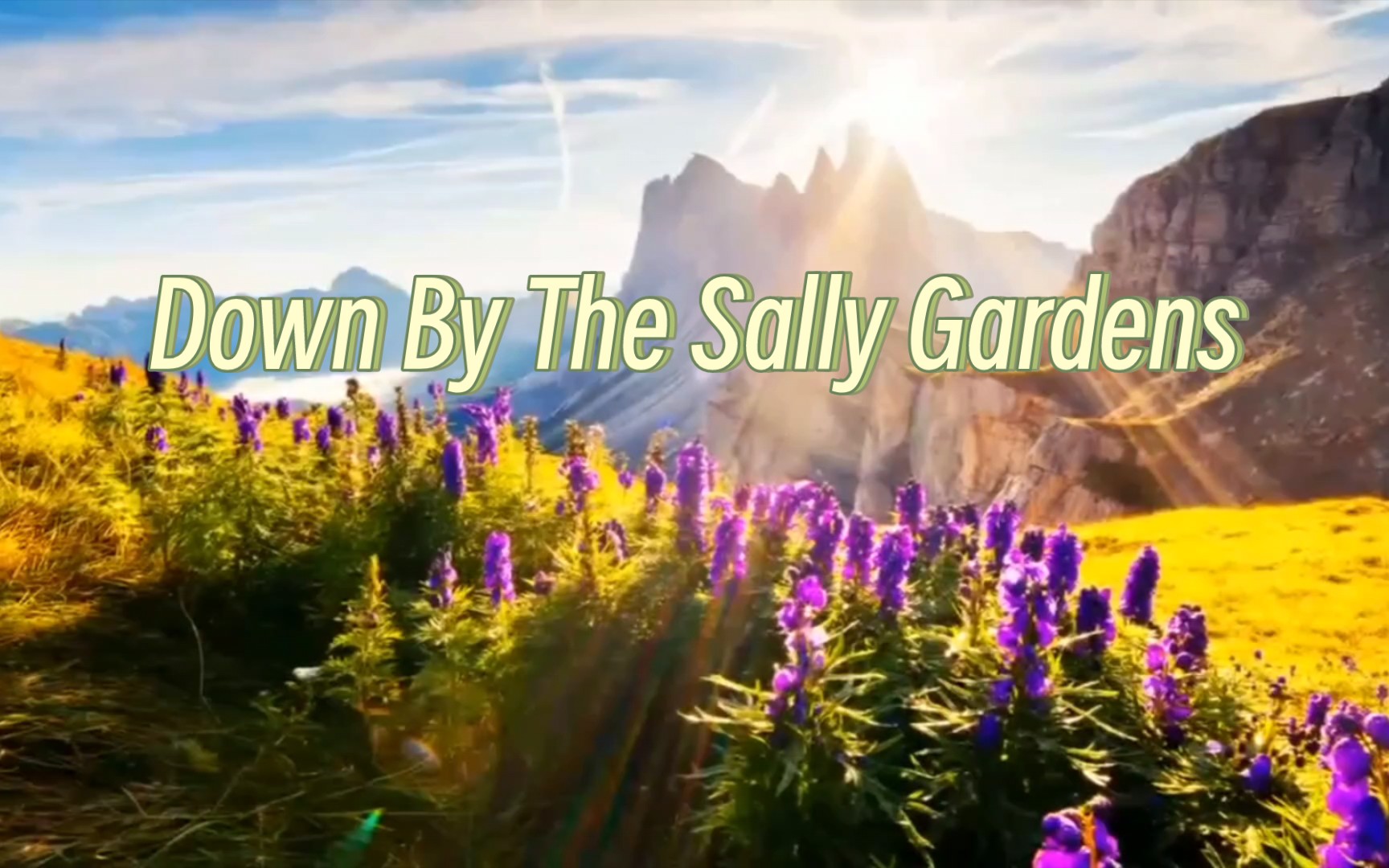 [图]【口琴】《Down By The Sally Gardens》