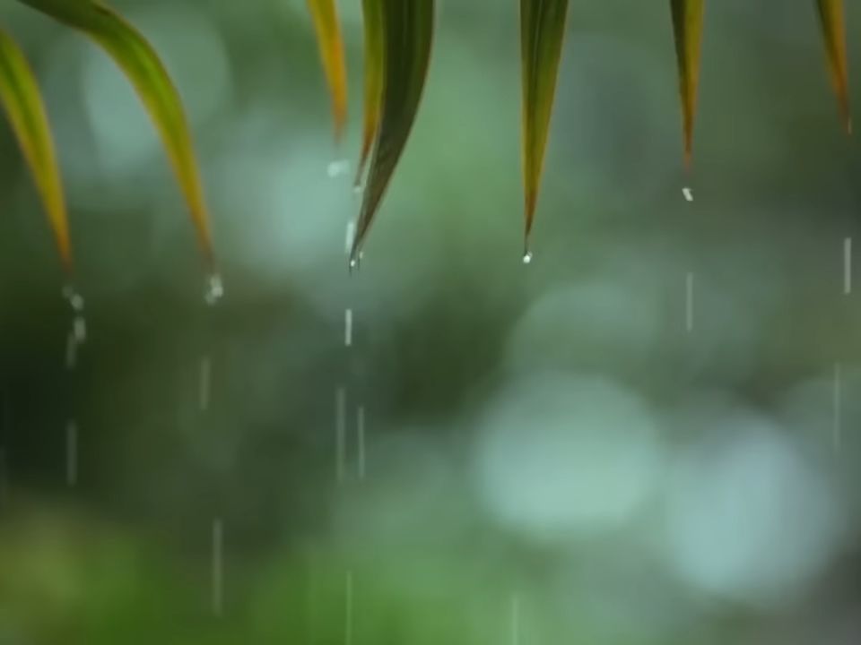 听雨助眠下雨音乐白噪音助眠音乐下雨声音大自然声音哔哩哔哩bilibili