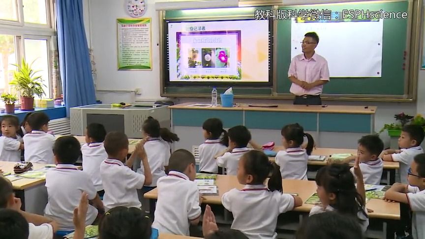 [图]教科版小学科学一年级上册 精品课 《我们知道的植物》