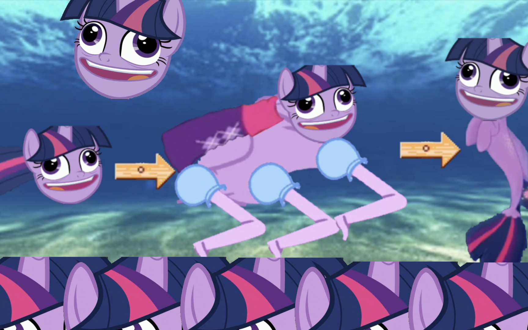 暮光闪闪进化史