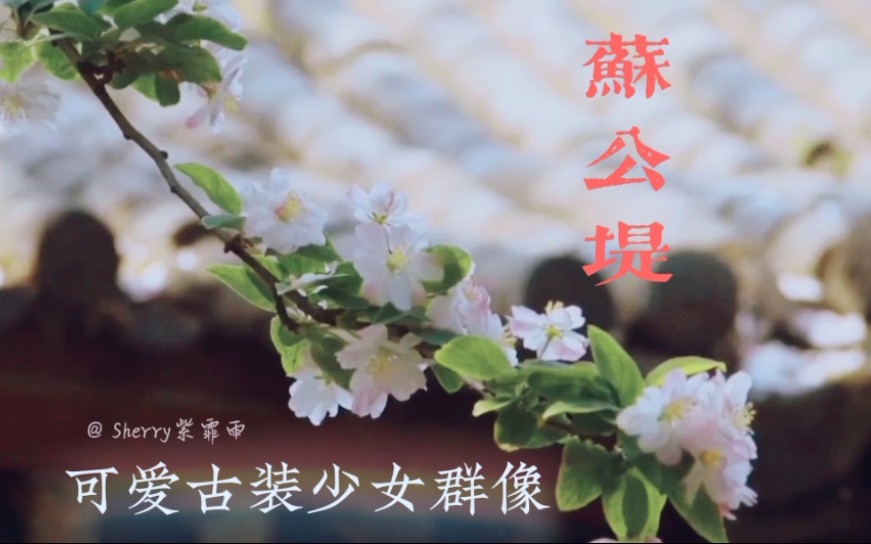 ◎ 古 装 甜 妹哔哩哔哩bilibili