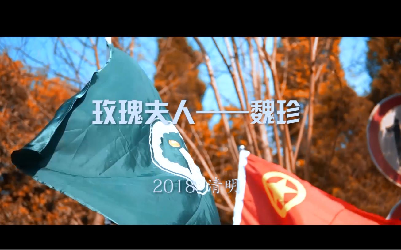 玫瑰夫人——魏珍 诸暨荣怀学校2018清明祭扫哔哩哔哩bilibili