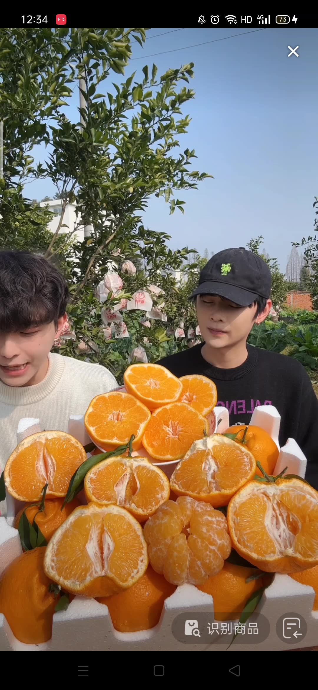 嘉新饼干|2025-01-20|直播录屏