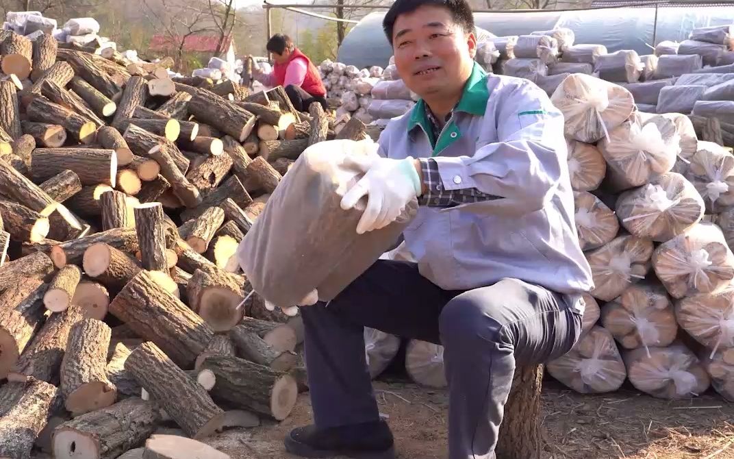 [图]乔康灵芝溯源（七）