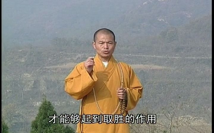 少林迷踪拳一路哔哩哔哩bilibili