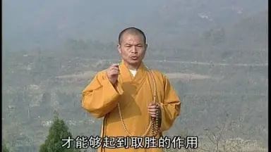 谜踪拳-哔哩哔哩_Bilibili