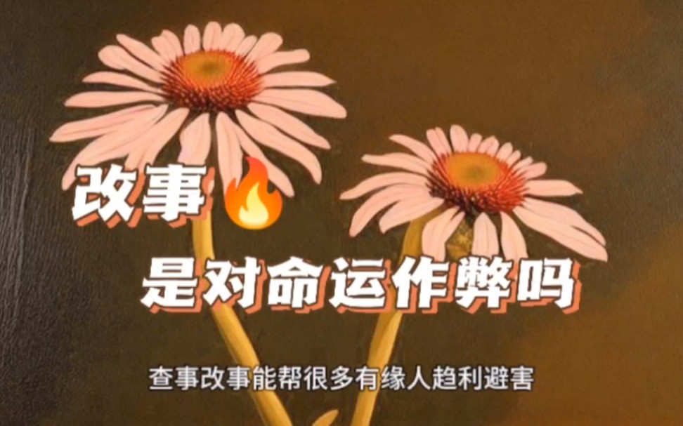 查事改事是对命运作弊吗?