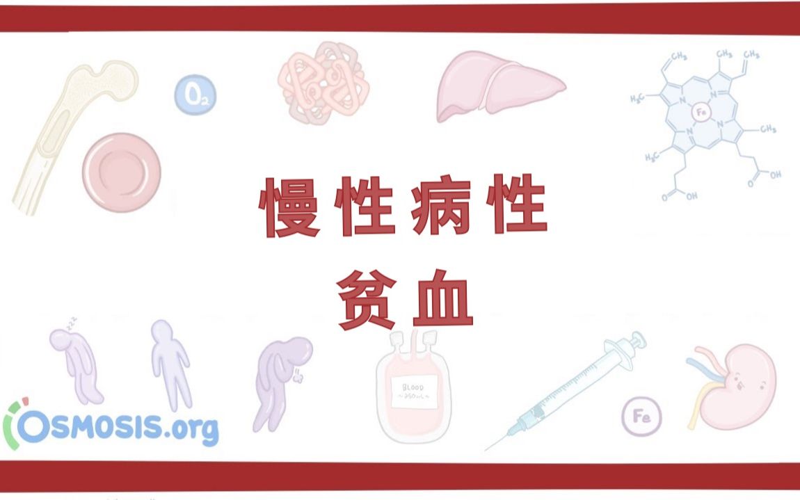 【预习】慢性病性贫血 Anemia of Chronic Disease(中英字幕)哔哩哔哩bilibili