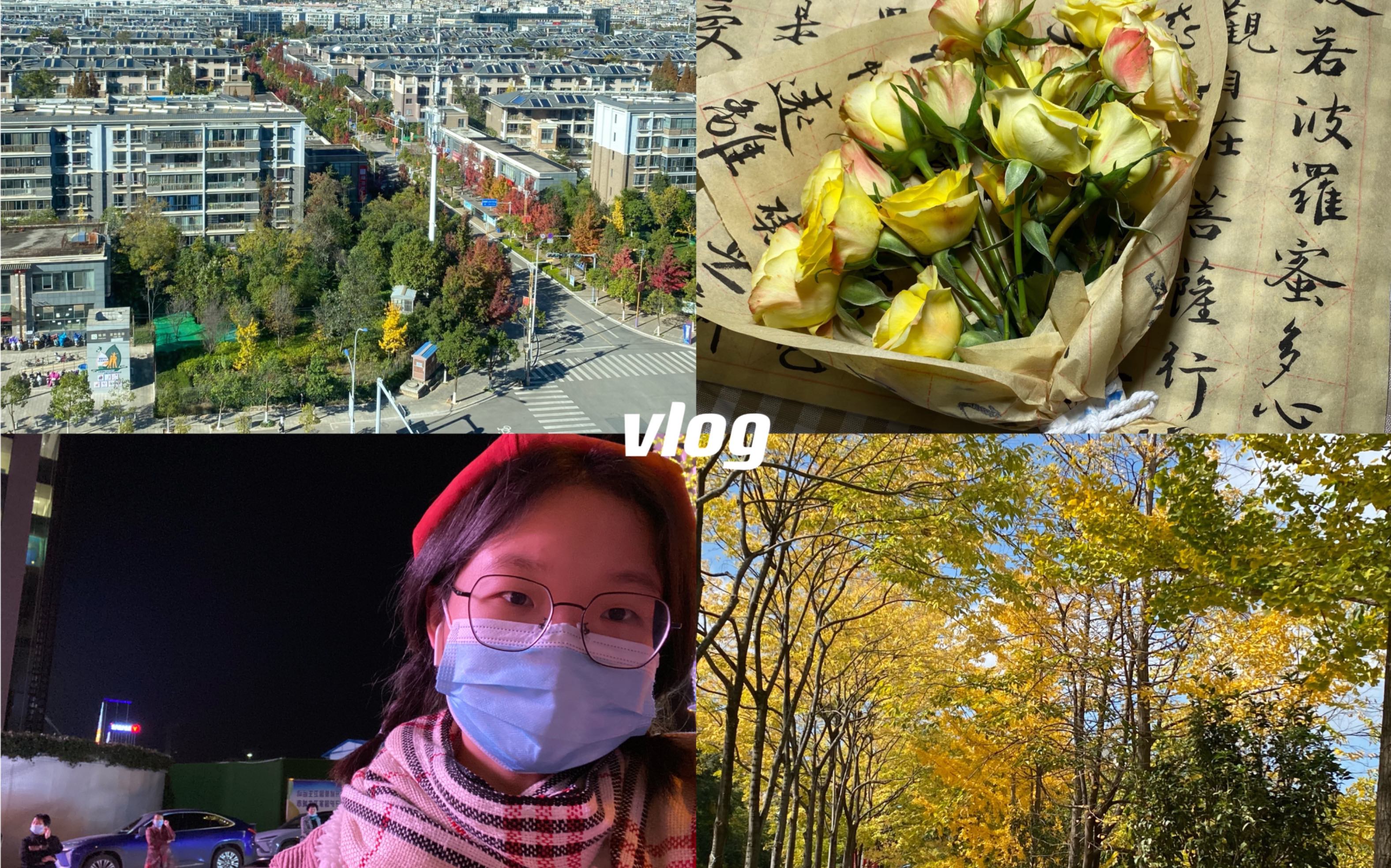 【vlog】十一月|六级口语|昆明理工大学|呈贡区|斗南花市|昆明秋天|书法包花哔哩哔哩bilibili