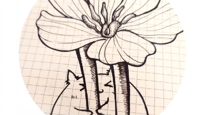 【钢笔画·线描花卉·黑白画】第140张92【一支钢笔 · 一花世界】