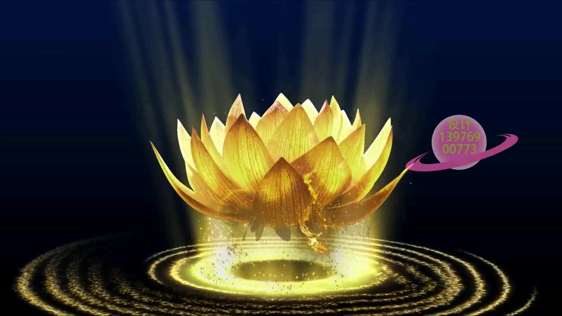 莲花旋转发射金光水幕裸眼3d全息影像浸式体验立体投影视频片源_(new)