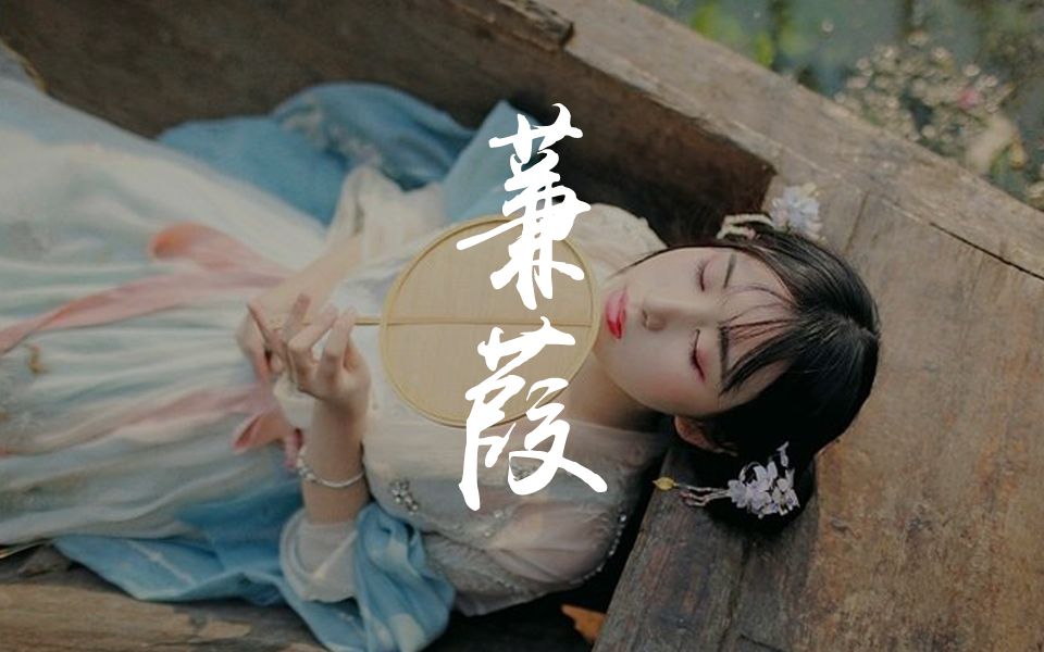 一曲古琴《蒹葭》胡思琴:曲意悠然,伊人梦绕哔哩哔哩bilibili