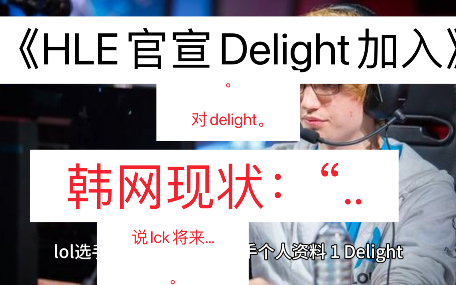 《HLE官宣Delight加入》韩网现状:“哔哩哔哩bilibili