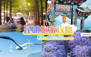 Download Video: 直接抄作业，暑假带孩子旅行，昆明两天一夜保姆级攻略来了