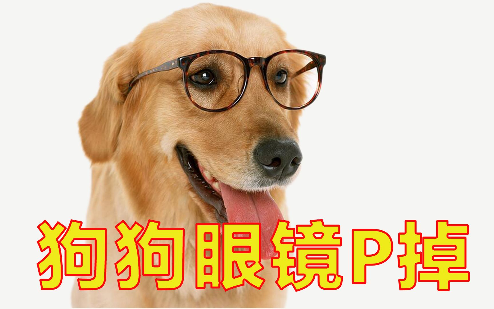 PS图片处理P图帮小女孩的狗狗图片上的眼镜P掉,P图实操哔哩哔哩bilibili