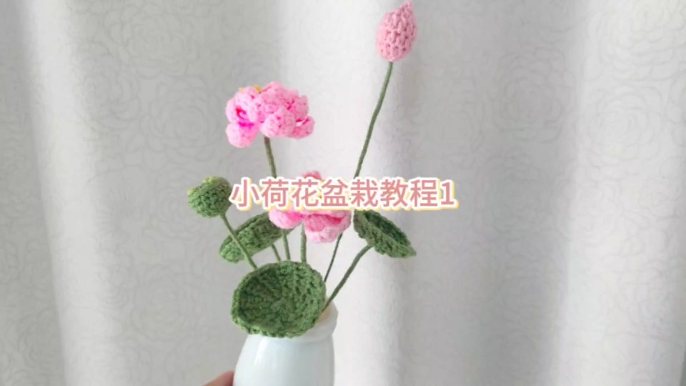 小荷花盆栽教程1哔哩哔哩bilibili