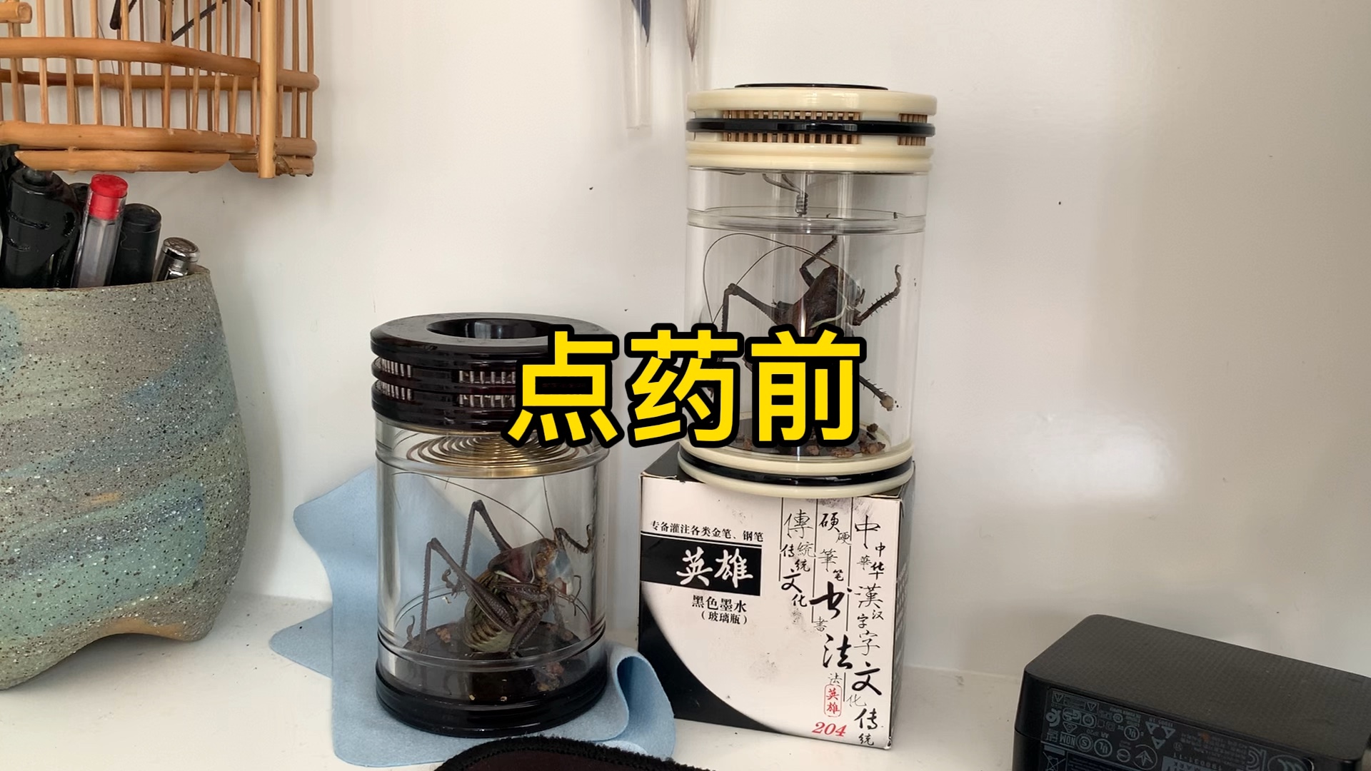 小闫蝈蝈,点药前后对比.