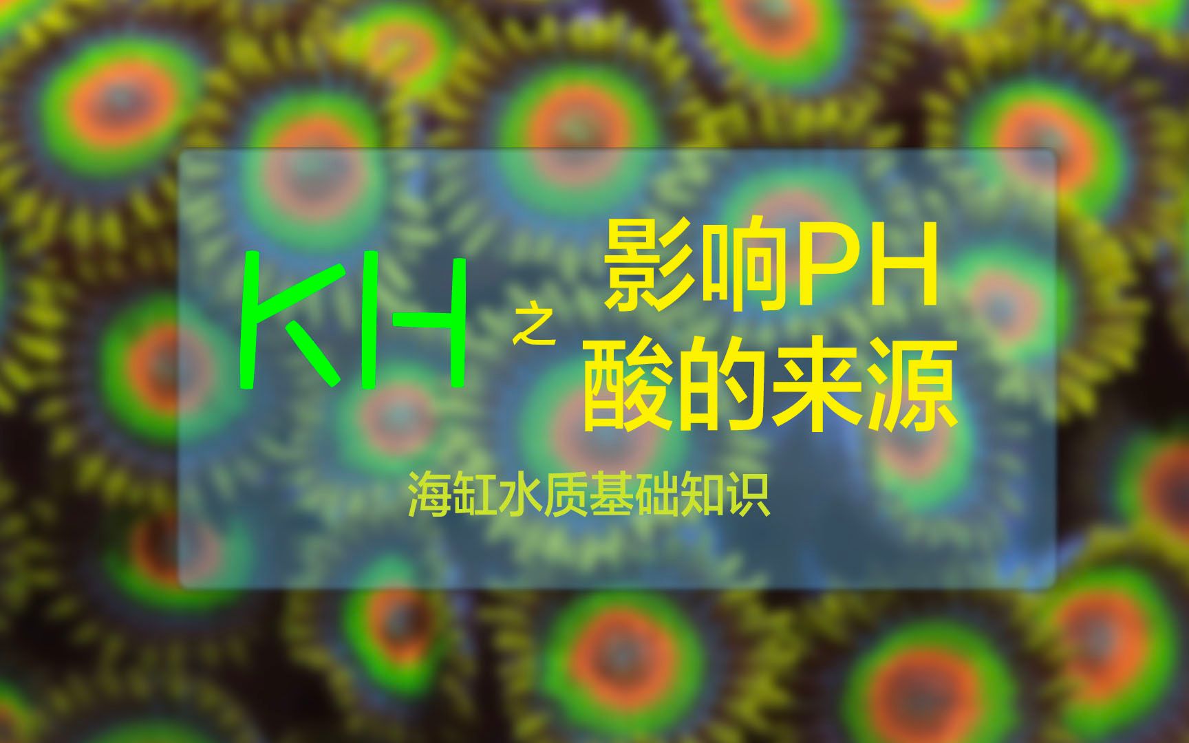 海缸的酸会影响KH与PH,那么酸是怎么产生的呢?哔哩哔哩bilibili