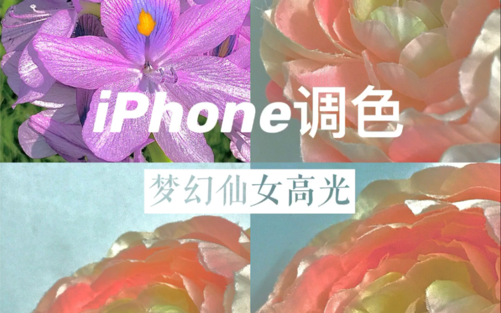 iPhone调色|花朵照片调色技巧,iPhone这样调,轻松拥有仙女高光~