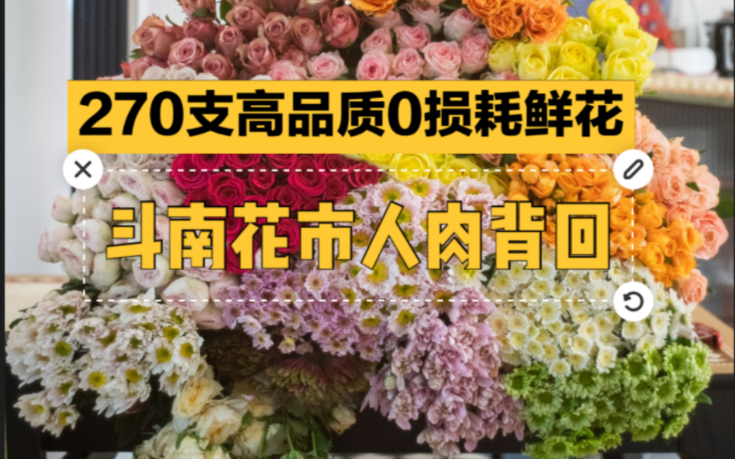 鲜花开箱从昆明斗南花市人肉背回270支鲜花高品质接近0损耗玫瑰小菊夜来香公主花姜荷花哔哩哔哩bilibili