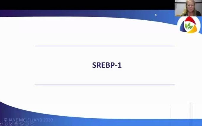 如何饿死癌症第三十五课——调节控制脂肪代谢平衡的SREBP1和ACLY (ATP柠檬酸裂解酶) 通路;非诺贝特,啤酒花,黄连素,水飞蓟素,烟酸,藤黄果,...