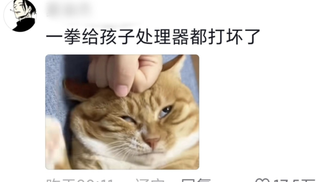 笑不活了,调皮小猫咬了主人,猫:别打我脸,我要笑死在评论区哔哩哔哩bilibili