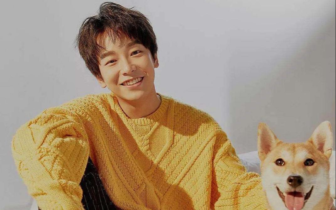 彭彭代言的鲨鱼菲特又融资啦~_哔哩哔哩 (゜-゜)つロ 干杯~-bilibili