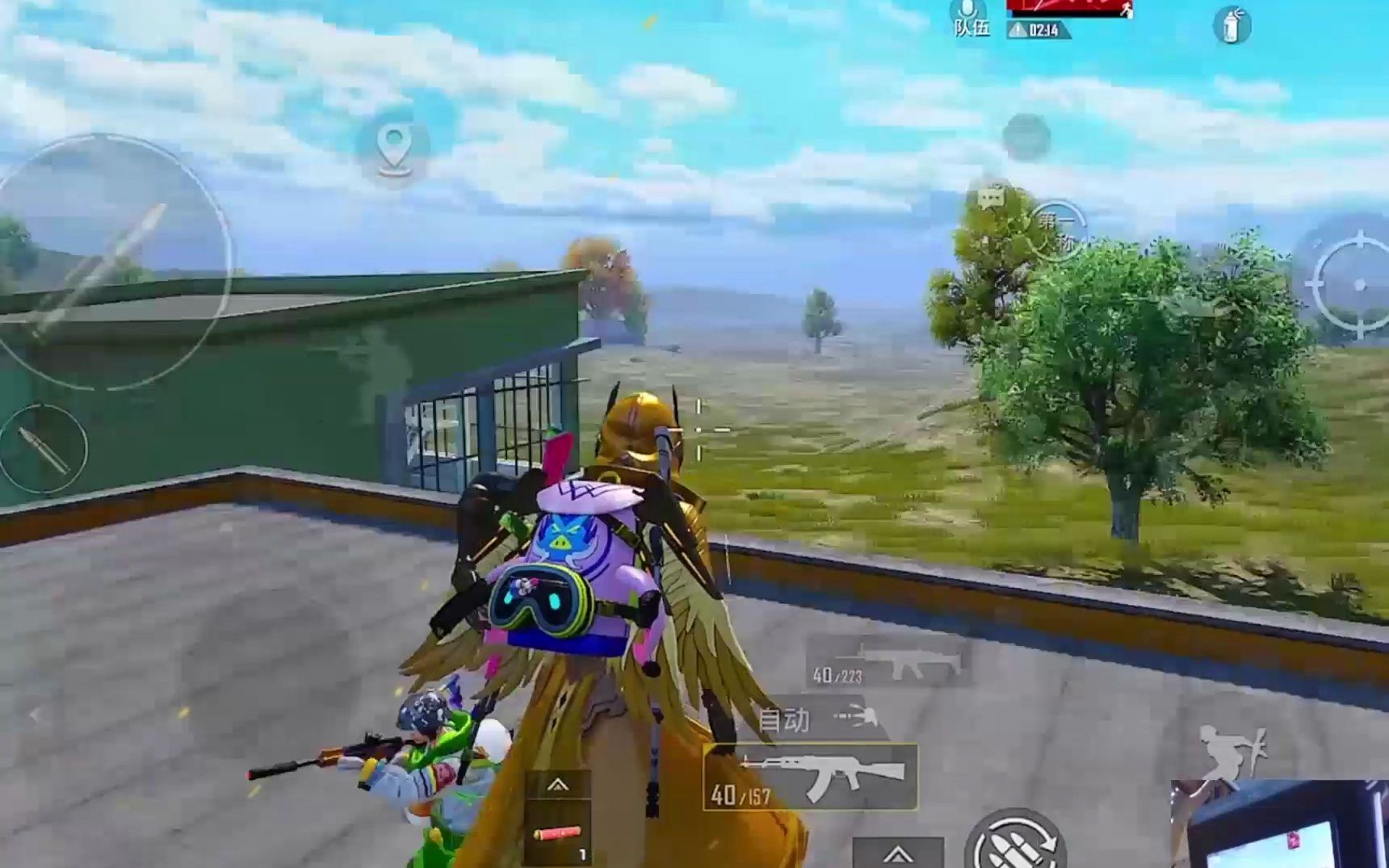 和平精英:吃鸡我只服天降正义