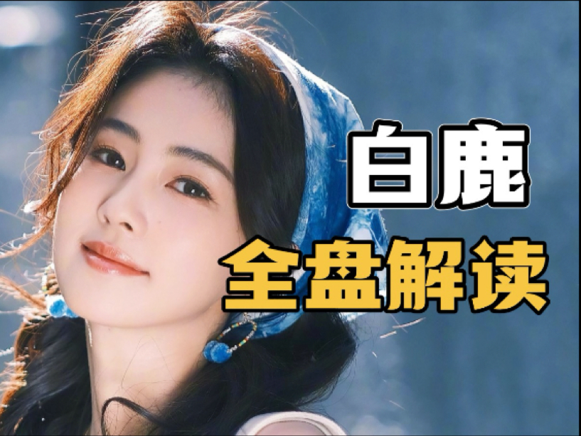 【八字起名易学】白鹿智慧大女主?未来几年怎么样?哔哩哔哩bilibili