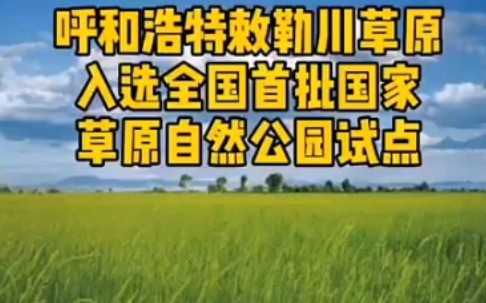 [图]8.30呼和浩特新鲜事 呼和浩特敕勒川草原入选全国首批国家草原自然公园试点；乌兰图雅专场演唱会昨日举行